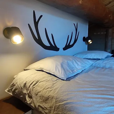 Chalet Magnifique Bois Pour 16 Personnes A 1600m *